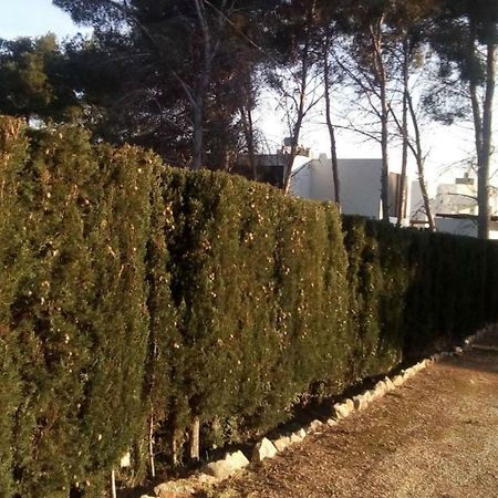 Pinomar Διαμέρισμα Teulada Εξωτερικό φωτογραφία