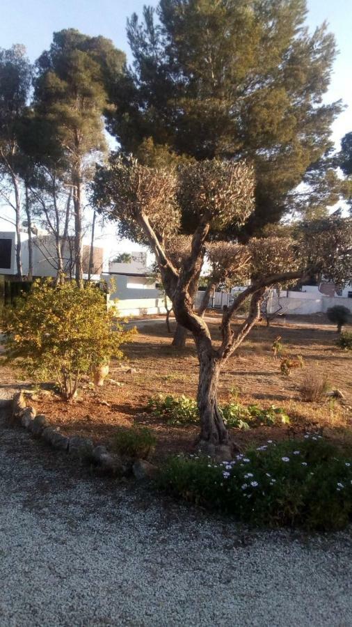 Pinomar Διαμέρισμα Teulada Εξωτερικό φωτογραφία